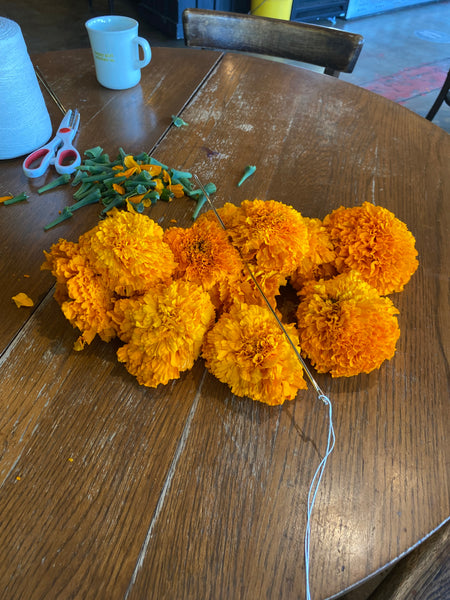 Marigold Garland Kit - October 24
