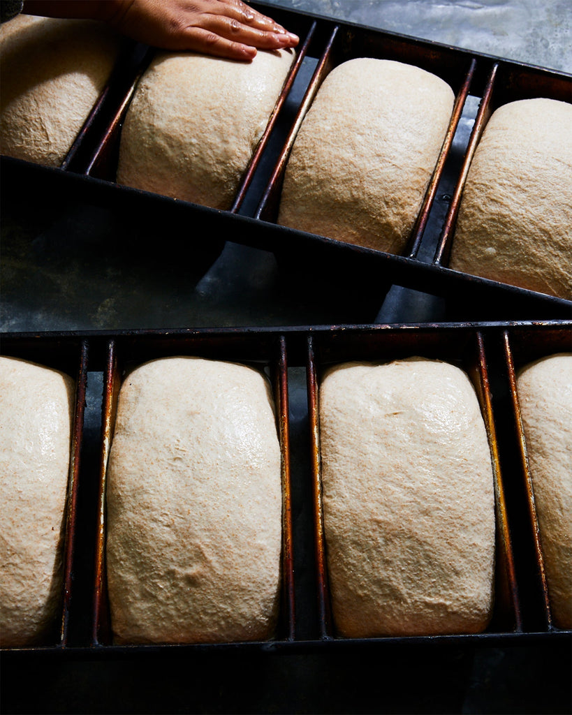 March 5 - Sourdough Bread Baking, 5:30-8:30 pm (sold out)