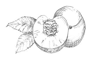 It Starts With Fruit - the book!