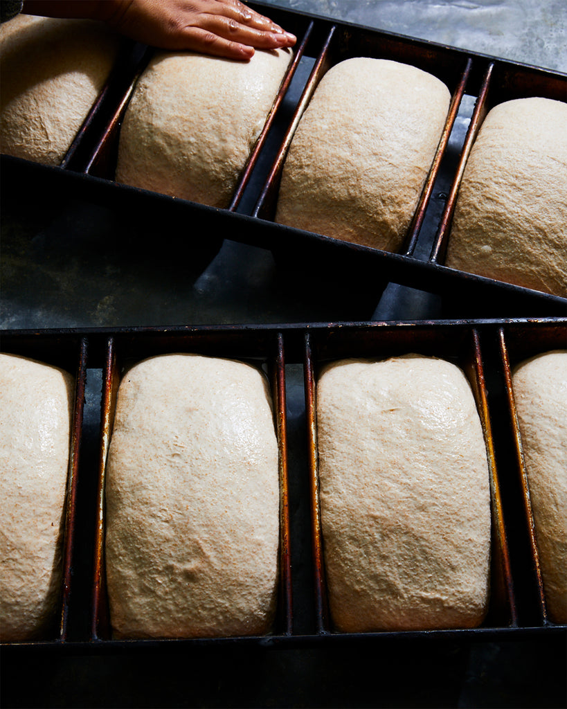 November 19- Sourdough Bread Baking, 5:30-8:30 pm